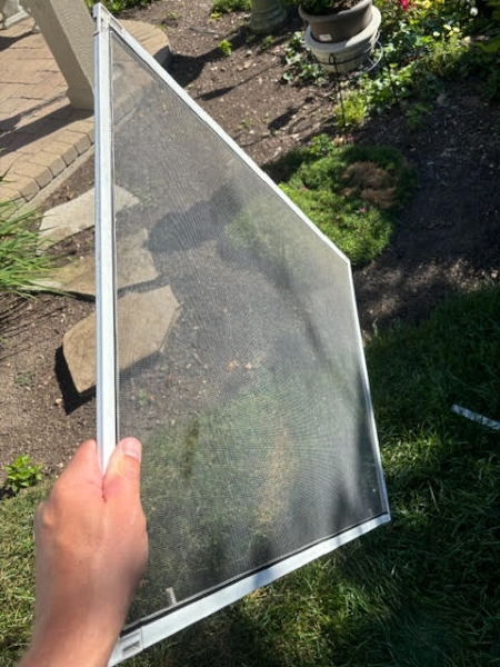 Screen Cleaning Before